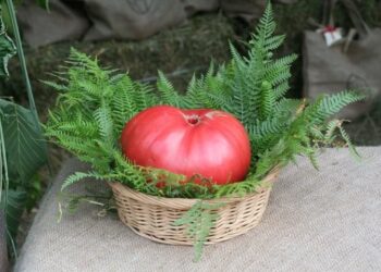 Viaggio in Calabria dello chef Piero Cantore