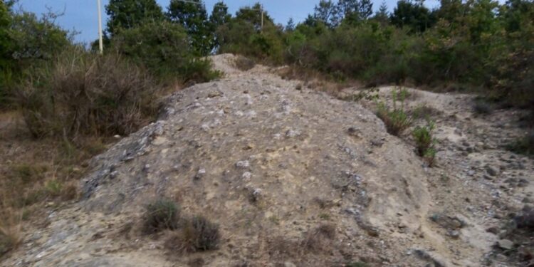 Terre Nostre III: I “Coculi”, una strana formazione del Reventino