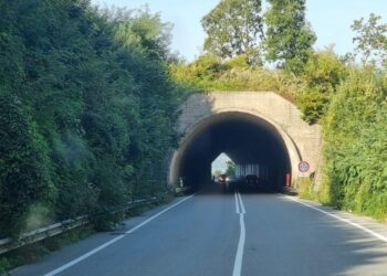 Gli automobilisti segnalano l’erba alta ai bordi della SS 616