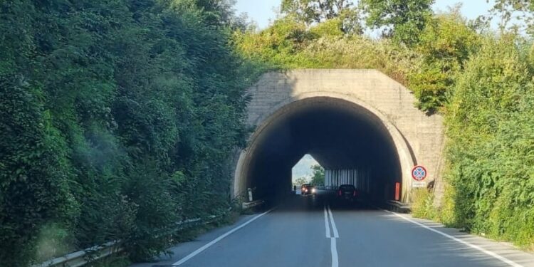 Gli automobilisti segnalano l’erba alta ai bordi della SS 616