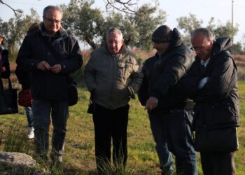 Nuova scoperta archeologica sulle terre di Temesa. Heròon dedicato ad un eroe oppure Heraion dedicato ad una divinità femminile?