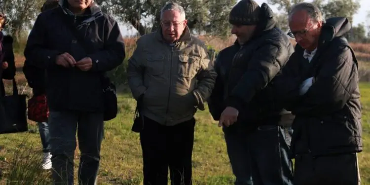 G. Cuglietta, G. Lena, S. Perri, A. Orlando