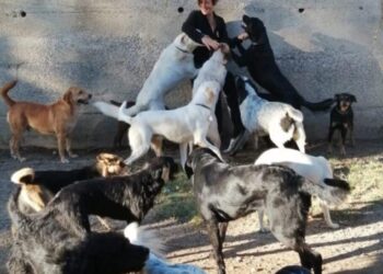 Sersale, giornata mondiale per gli animali