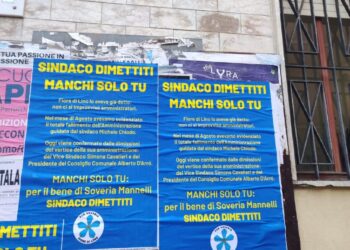 Soveria Mannelli, la nota di Fiore di Lino sulle dimissioni di due esponenti di maggioranza