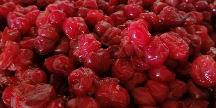 Un viaggio nel mondo fiabesco delle marmellate sull’Appennino tosco-emiliano/ A tu per tu con Gaia Venturelli