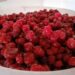 Un viaggio nel mondo fiabesco delle marmellate sull’Appennino tosco-emiliano/ A tu per tu con Gaia Venturelli