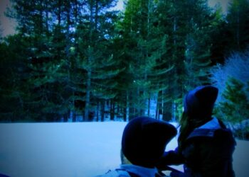 Tra storia e leggenda, un format innovativo nel cuore del Parco Nazionale della Sila/ L’iniziativa promossa dalla guida ufficiale Omar Falvo