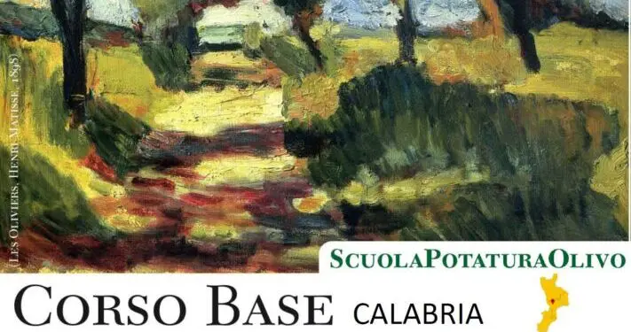 Pianopoli, il 10 e 11 febbraio corso di potatura olivo