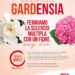 Sclerosi multipla: 8-9 e 10 marzo “Bentornata Gardensia” 