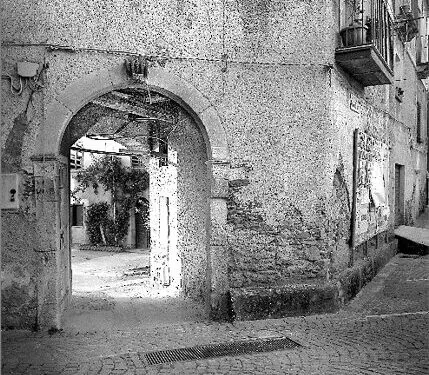 Camara (foto: Mario Migliarese)