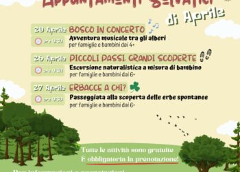 Sersale, appuntamento con Linea Selvatica