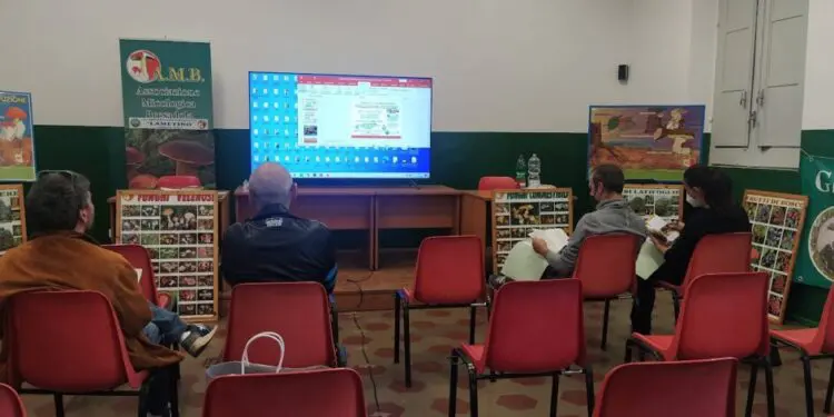 Lamezia, concluso corso micologico per raccolta funghi epigei