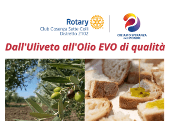 “Dall’uliveto all’olio EVO di qualità” incontro pubblico con degustrazione, iniziativa del Rotary Club Cosenza Sette Colli