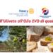 “Dall’uliveto all’olio EVO di qualità” incontro pubblico con degustrazione, iniziativa del Rotary Club Cosenza Sette Colli