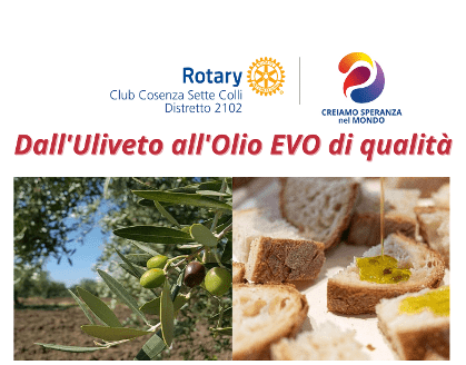 “Dall’uliveto all’olio EVO di qualità” incontro pubblico con degustrazione, iniziativa del Rotary Club Cosenza Sette Colli