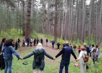 Si è svolto in Sila un interessante convegno sulla Onco-Forest Terapy