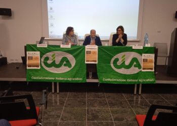 Soveria M.lli, svolto seminario informativo sulla coltivazione del nocciolo promosso da Calabria in Guscio (video)