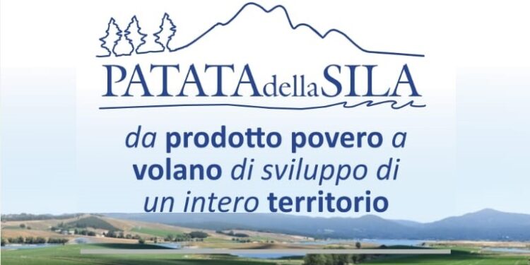 La straordinarietà del caso del prodotto e la storia della Patata della Sila