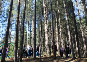 Concluso all’IIS “L. Costanzo” il progetto Land Art