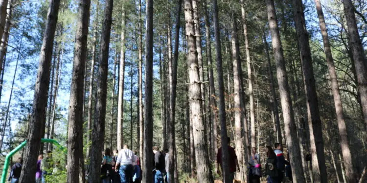 Concluso all’IIS “L. Costanzo” il progetto Land Art