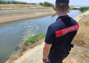 Carabinieri scoprono depuratori non autorizzati nel Reventino