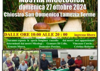 A Lamezia la 23esima Giornata Micologica Nazionale organizzata dal Gruppo Micologico Naturalistico Lametino