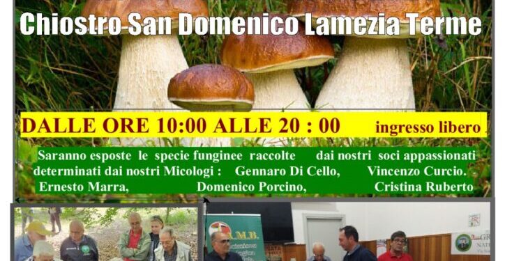 A Lamezia la 23esima Giornata Micologica Nazionale organizzata dal Gruppo Micologico Naturalistico Lametino