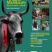 Zagarise, proiezione gratuita del film “Figli del Minotauro / Storie di uomini e animali”