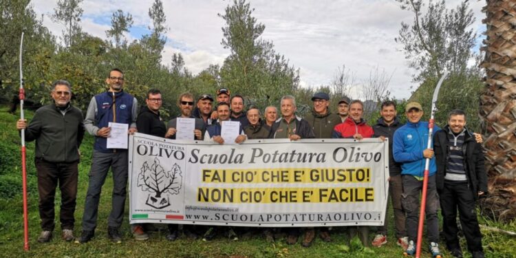 Una giornata con Antonino Lonobile e Manolo Guzzo tra gli ulivi a a scuola di potatura (video)