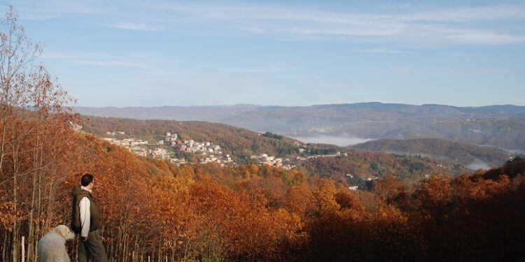 Monti Reventino e Mancuso: Bevilacqua riporta in auge la proposta di un’area protetta