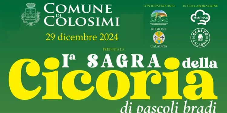 I Sagra della Cicoria: la pianta spontanea diventerà prodotto De.Co. di Colosimi