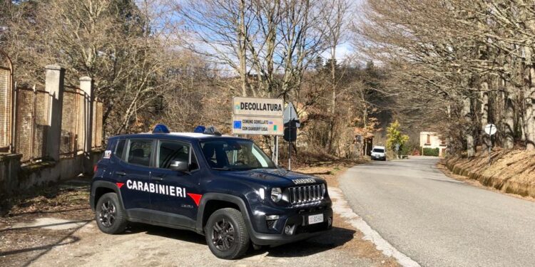Decollatura controlli dei Carabinieri e multe sulla corretta detenzione animali domestici