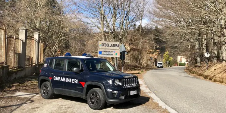 Decollatura controlli dei Carabinieri e multe sulla corretta detenzione animali domestici