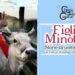 Proiezione gratuita a Sersale del film “Figli del Minotauro” sulla transumanza, storie di uomini e animali