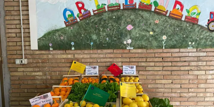 Prosegue con interessanti iniziative la convenzione tra IIS Costanzo e IC Borrello-Fiorentino