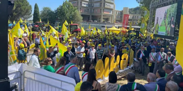 Coldiretti Calabria: piano contenimento cinghiali portato a termine dalla Giunta Regionale