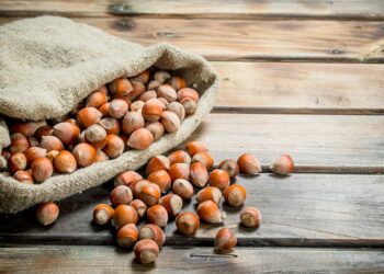 Calabria in Guscio: nocciolo economia trainante per la regione