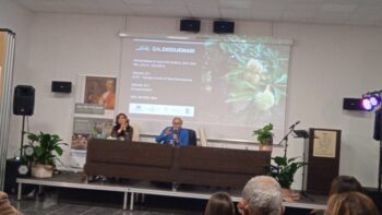 Un momento del convegno