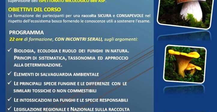 Il Gruppo Micologico Naturalistico Lametino organizza corso per rilascio tessera professionale raccolta funghi epigei