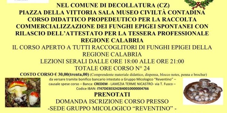 Corso didattico propedeutico per raccolta funghi. A Decollatura dal 7 al 15 aprile
