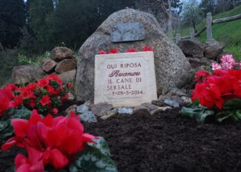 Sersale, 11 anni fa moriva il cane Ruanzu, simbolo di un paese. La sua tomba sistemata nel borgo