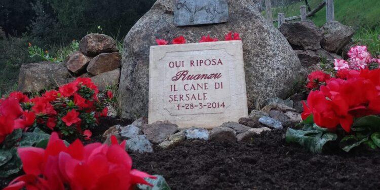 Sersale, 11 anni fa moriva il cane Ruanzu, simbolo di un paese. La sua tomba sistemata nel borgo