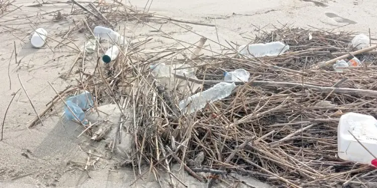 “Nuoteremo fra plastica e polistirolo!”. E’ il monito lanciato da Luigi Stanizzi fondatore del Premio Mar Jonio