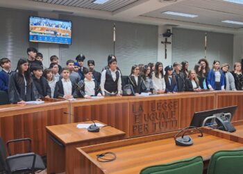 Zagarise, grande successo per ciak processo simulato. Studenti coordinati dalla prof. Giovanna Pingitore