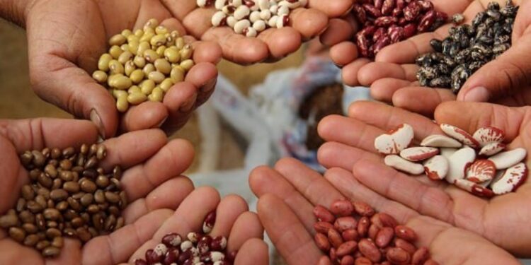 Un patrimonio biologico che rischia di scomparire nel Reventino-Savuto