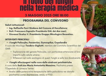 A Decollatura un convegno: “Il Ruolo dei Funghi nella Terapia Medica”. Oggi alle 18