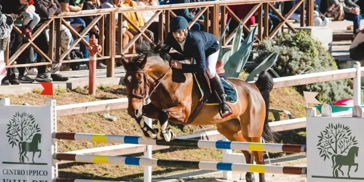 A Catanzaro il Campionato Regionale Salto Ostacoli 2025: sport ma anche arte e spettacolo