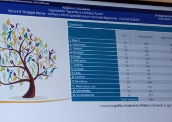 Regione Calabria, svolto incontro dei 14 comuni dell’Area Interna “Reventino-Savuto”
