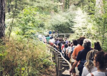 BE ALTERNATIVE FESTIVAL – “Aspettando i concerti sul lago” gli appuntamenti di luglio tra natura e musica