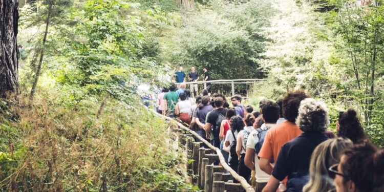 BE ALTERNATIVE FESTIVAL – “Aspettando i concerti sul lago” gli appuntamenti di luglio tra natura e musica